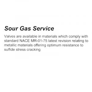 Sour Gas Service