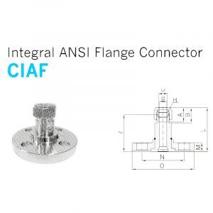 CIAF – Integral ANSI Flange Connector
