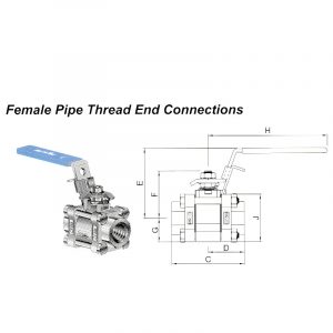 Female Pipe Thread End Connections