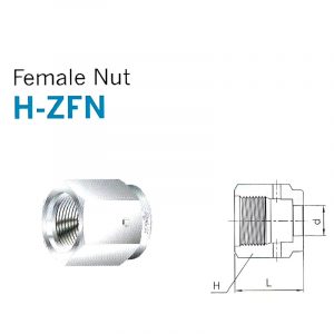 H-ZFN – Female Nut