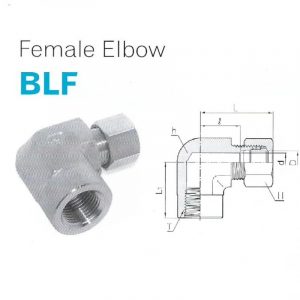 BLF – Female Elbow