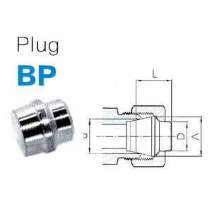 BP – Plug