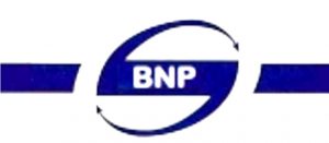 BNP Ball Valves