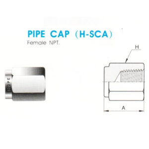 Pipe Cap (H-SCA) – Female NPT